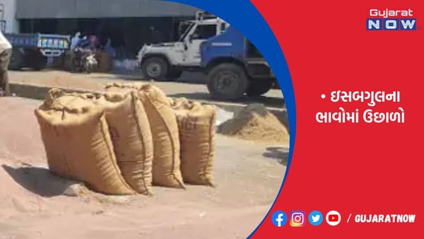 હારિજ માર્કેટયાર્ડમાં ઈસબગુલના ભાવમાં ઉછાળો