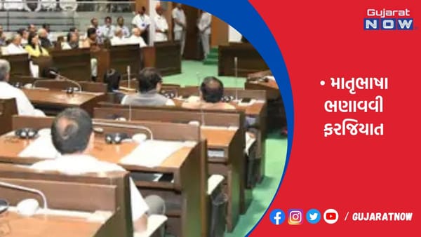 ગુજરાતમાં ગુજરાતી સત્તાવાર ભાષા છતાં કેટલીક સ્કૂલો ભણાવતી નથી : શિક્ષણમંત્રી