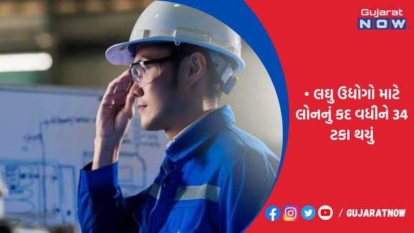 દેશના MSME સેક્ટરની એનપીએ ઘટીને 12.5% નોંધાઇ