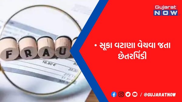 રાજકોટના ખેડૂતે રૂ.2.88 લાખના વટાણા મોકલ્યા
