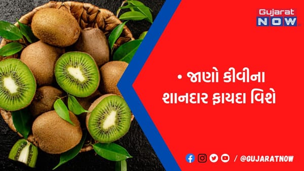 અનેક બિમારીઓને દૂર કરે છે કીવી, જાણો તેનું સેવન કરવાથી થતા 6 ચમત્કારી ફાયદાઓ વિશે
