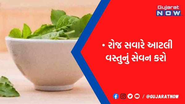 રોજ સવારે આટલી વસ્તુનું સેવન કરો ને સ્વસ્થ રહો, પાચનતંત્રના રોગો થશે જડમૂડથી દૂર, રહેશો કિલકિલાટ