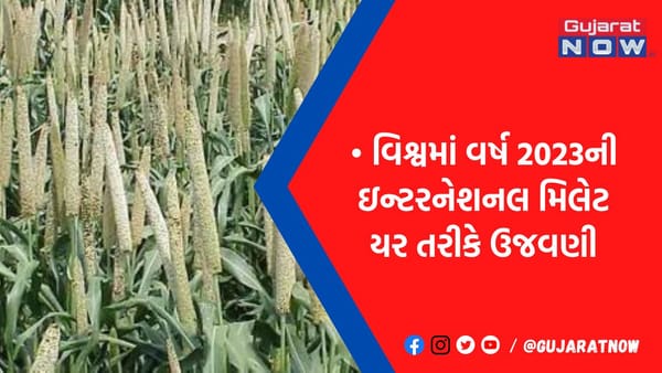 સરકાર ખેડૂતો પાસેથી ઘઉંની સાથે જાડું ધાન્ય (મિલેટ્સ) ટેકાના ભાવે ખરીદશે