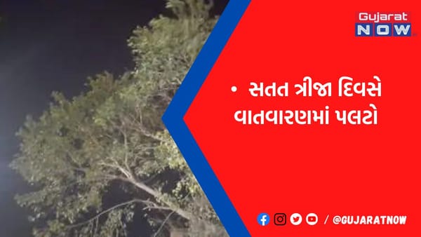 ભાવનગરમાં ભારે પવન સાથે ધૂળની ડમરી ઉડી