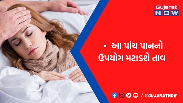 ગમે તેવો તાવ મટાડી શકે છે આ 5 પાનનું સેવન, જાણો તેના ફાયદાઓ વિશે
