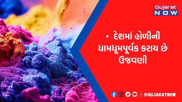 હોળીના દિવસે આ ગામમાં જમાઇને ગદર્ભ પર બેસાડીને ફેરવાય છે, કારણ જાણીને વિચારતા રહી જશો