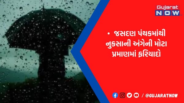 રાજકોટ જિલ્લામાં કમોસમી વરસાદથી 5 ટકા જેટલા ઊભા પાકને નુકસાન થયું
