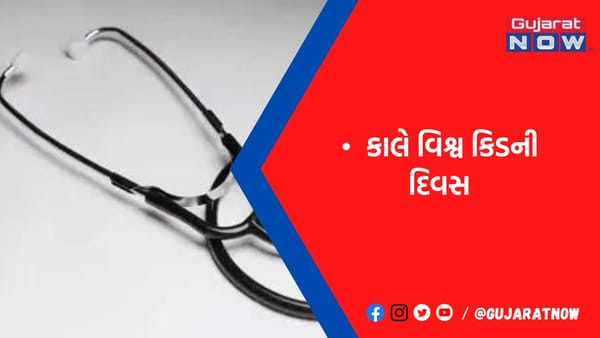 પથરી અને બ્લડપ્રેશર કિડની ફેઈલ્યોરના સૌથી મોટા કારણ - ડો.અમલાણી