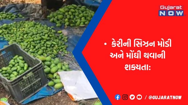 તળાજામાં માવઠું, વાવાઝોડાથી કેરીનો આગોતરા ફાલ ખરી ગયો