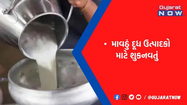 કમોસમી વરસાદને પગલે રાજકોટ ડેરીએ દૂધના ભાવમાં પ્રતિ કિલો ફેટે રૂ.20નો વધારો કર્યો