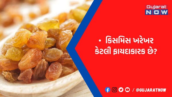 લોહીની ઊણપને દૂર કરવા 'કિસમિસ'નું સેવન થશે લાભદાયી, આયર્ન-વિટામિન જેવાં પોષક તત્વોથી છે ભરપૂર