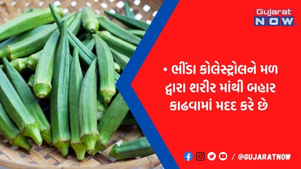 હાઈ કોલેસ્ટ્રોલના દર્દીઓએ અચૂકથી ખાવી જોઇએ આ શાકભાજી, ફેટ અને ટ્રાઈગ્લિસરાઈડનું લેવલ રહેશે કંટ્રોલમાં