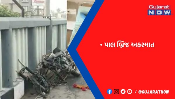 ડિવાઈડર સાથે બાઈક અથડાયા બાદ બ્રિજ પરથી નીચે પટકાયેલા બેમાંથી એકનું મોત
