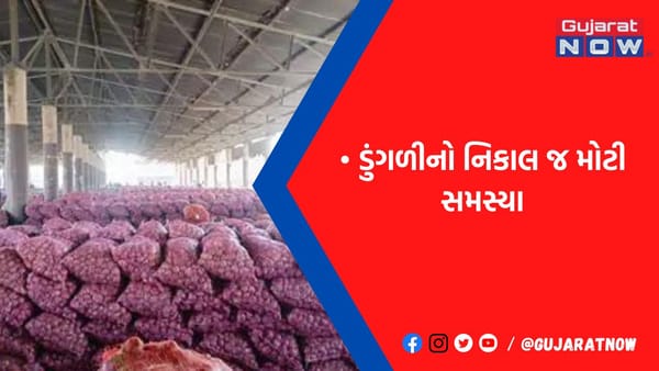રાજકોટ યાર્ડમાં ખેડૂતે કહ્યું: 'નાફેડ વાળા દેખાતા જ નથી અને આવે તો 45 MMથી નીચેની ડુંગળી ખરીદતા નથી'