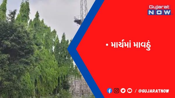 સુરતમાં વાતાવરણમાં પલટો, મેઘાવી માહોલ સર્જાયો,અલગ અલગ વિસ્તારમાં વરસાદ વરસતા ઠંડક પ્રસરી