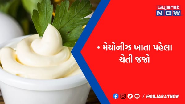 સેન્ડવીચ અને પફમાં મેયોનીઝ ખાવાના શોખીનો ચેતી જજો! શરીરમાં વધી જાય છે આ 5 બિમારીઓનો ખતરો