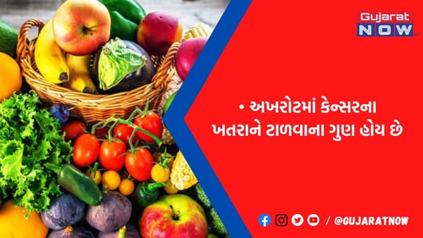 કેન્સર ખતરો 100 ફૂટ દૂર રહેશે, બસ ડાયેટમાં સામેલ કરી દો આ 7 વસ્તુઓ, થઈ જાઓ ટેન્શન ફ્રી