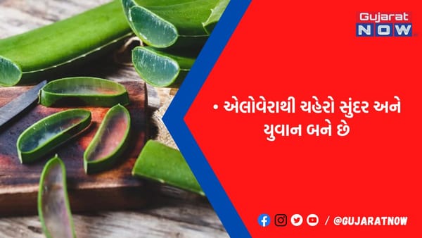 આ ત્રણ વસ્તુઓ સાથે એલોવેરા મિશ્ર કરીને લગાવવાથી ચહેરા પરના ડાઘ, ખીલ અને કરચલી થશે દૂર