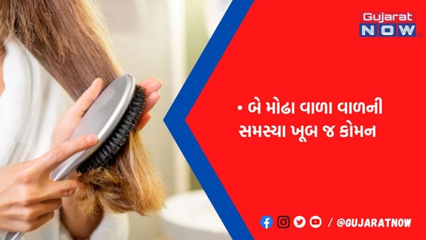 બે મોઢા વાળા વાળને કપાવી નાખવાની ના કરતા ભૂલ! આ રીતે કરો એલોવેરાનો ઉપયોગ, ગ્રોથ વધવાની સાથે લાંબા પણ થશે