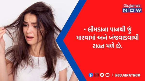 શું તમારા વાળ વધારે પડતાં ખરી રહ્યા છે? જું થી પણ છો પરેશાન, આ ઉપાય અજમાવી એક તીરથી લગાવો બે નિશાન