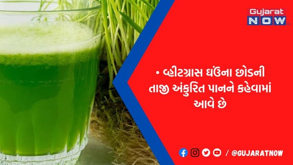 સંજીવની જેવુ છે આ લીલું જ્યુસ: કાપી નાંખે છે કેન્સરના મૂળિયા, શુગર અને BPમાં પણ ઉપયોગી, આજે જ પીવાનું કરો શરૂ