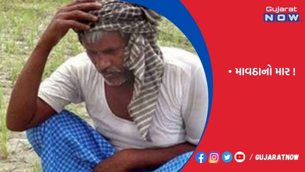 ખેડૂતોને નુકસાનની થપાટ