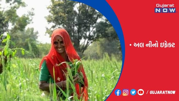 કૃષિ ઉત્પાદન ઘટવા-મોંઘવારી વધવાની સંભાવના