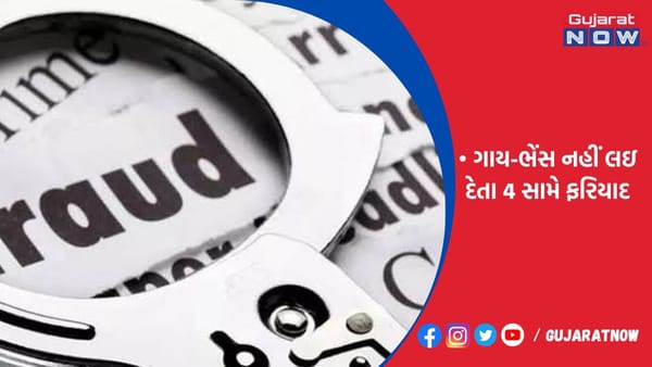 પ્લોટ અને ગાય-ભેંસ લેવડાવી દેવાના બહાને રૂપિયા 7.67 લાખની ઠગાઇ