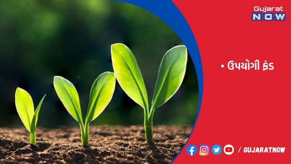 વિશેષ સ્થિતિમાં રોકાણ માટેની તકનું સર્જન કરતા થીમેટિક ફંડ