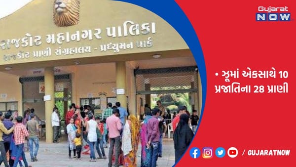 બચ્ચાંને જન્મ આપતા સાપ હવે ઝૂમાં નવું નજરાણું