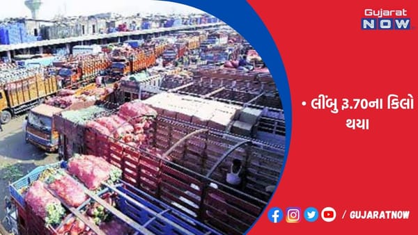 રાજકોટ યાર્ડમાં સ્થાનિક આવક શરૂ થતા શાકભાજીમાં કિલોએ રૂ.40 ઘટ્યા