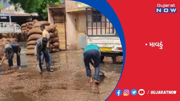ગુજરાતમાં ભરઉનાળે વરસાદી માહોલ