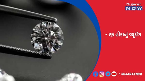 સુરતમાં પ્રથમ વખત 600 કરોડના 2 લાખ કેરેટ રફ હીરાનું વ્યૂઈંગ થશે