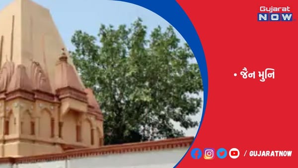 પાકિસ્તાનમાં એક પણ જૈન નથી છતાં સેંકડોએ સ્વાગત કર્યું!