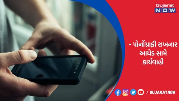 મોબાઇલમાં ચાઇલ્ડ પોર્નોગ્રાફી રાખનાર આધેડ સામે ગુનો નોંધાયો