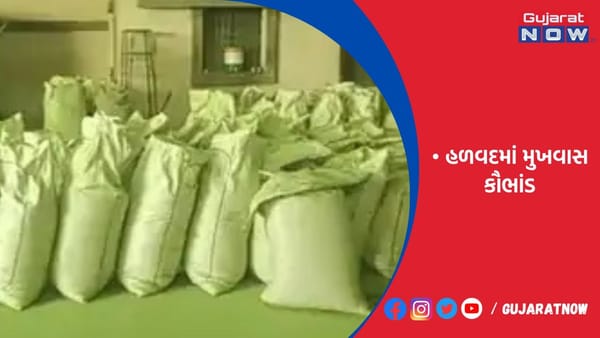 ભેળસેળવાળી વરિયાળી બનાવવાનું ષડયંત્ર બે વર્ષે પકડાયું