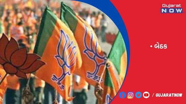 શહેર ભાજપના નવા માળખાની એક સપ્તાહમાં જ થશે જાહેરાત
