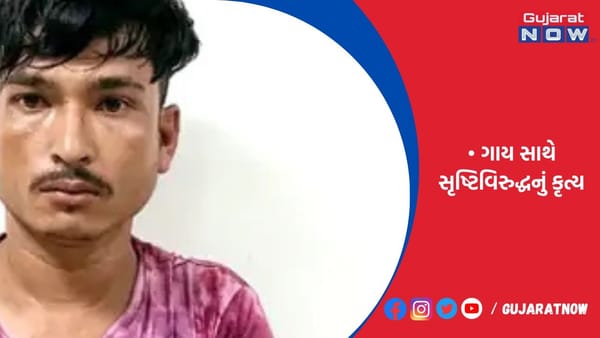 રાજકોટમાં ગાય સાથે નરાધમે આચર્યું અધમ કૃત્ય