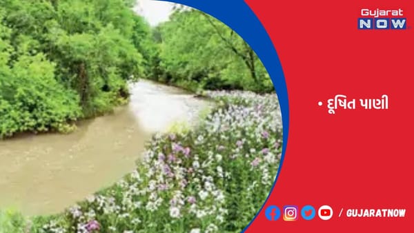 કેનેડા સરકારે દૂષિત પાણીને કારણે ડૉન નદીને મૃત જાહેર કરી હતી