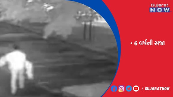 ભારતીય વિદ્યાર્થીએ બ્રિટિશ મહિલાનો બળાત્કાર કર્યો!