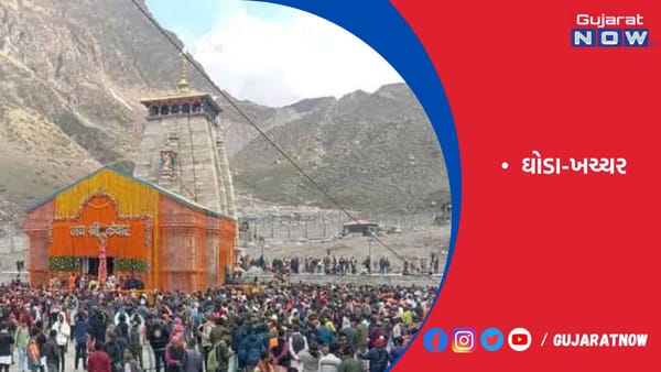 કેદારનાથ: ઘોડા-ખચ્ચરના રોજના ત્રણ ફેરા