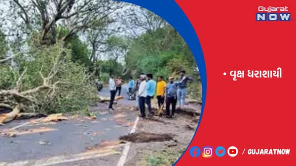 ટંકારાના ઘૂ નડા ખાનપરથી રોહીશાળા જવાના માર્ગે તોતિંગ લીમડો ધરાશાયી