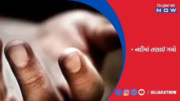 ટ્વીન્સ જન્મ લે તે પહેલા જ પિતાનું પાળ પાસે ડૂબી જતાં મોત