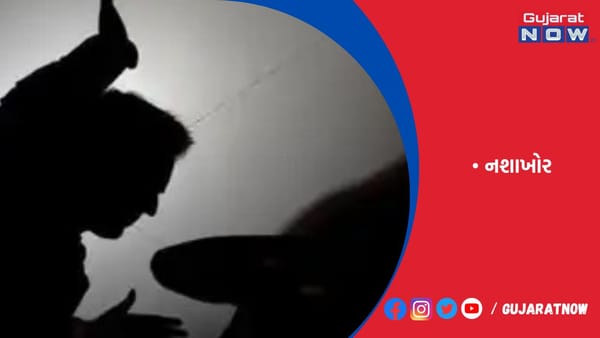 નશાખોર કપાતરે વૃદ્ધ માતાને માર મારી ધમકી પણ આપી