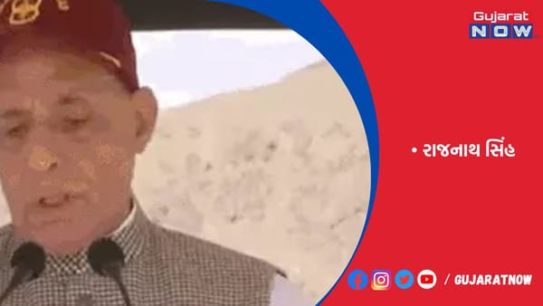 રાજનાથ સિંહે કહ્યું હતું- જરૂર પડશે તો સેના LOC પાર કરશે