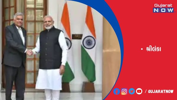 શ્રીલંકાએ કહ્યું- ભારતે અમને હિંસાથી બચાવ્યા