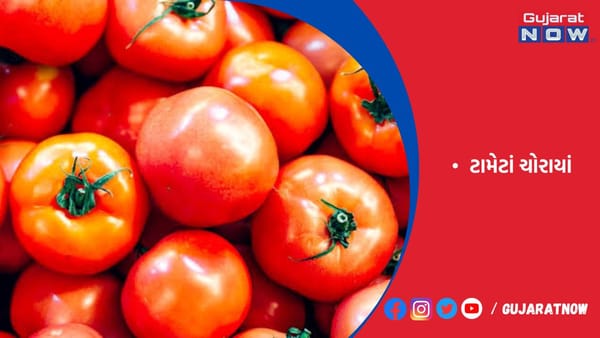 ભાવ રૂ. 200ને પાર થતાં કાપોદ્રાની માર્કેટમાંથી 150 કિલો ટામેટાં ચોરાયાં