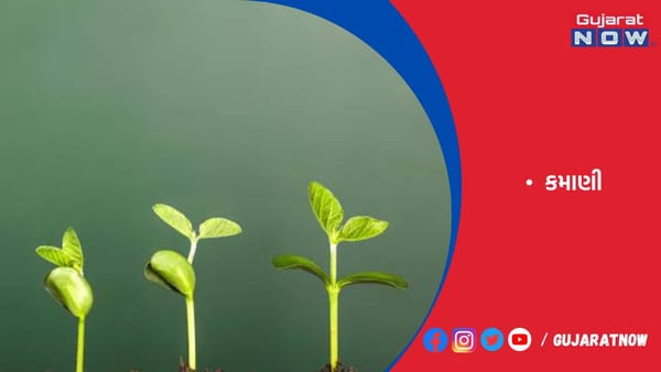 ટોચની-50 કંપનીઓના પ્રોફિટ માર્જિનમાં 22%નો વધારો થઈ શકે