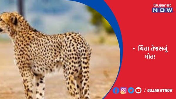 ગરદનના ભાગે ઈજાના નિશાન મળ્યાં, પરસ્પર લડાઈમાં મોતની સંભાવના