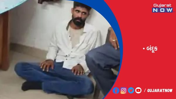 અમદાવાદમાં શખસે જાહેરમાં બંદૂક તાણી